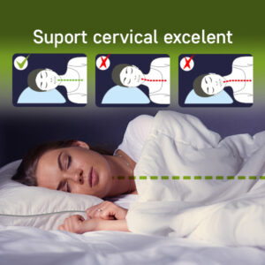 Perna Sleep by GF 50x70 cm 10% puf gasca 90% pana de gasca pentru somn odihnitor