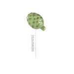 Decoratiune pentru gradina Custard apple